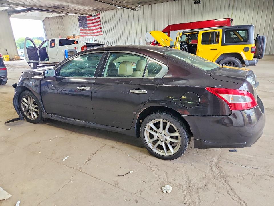 Продаж на аукціоні авто 2010 Nissan Maxima, vin: 1N4AA5AP1AC828512, номер лоту: 64019286