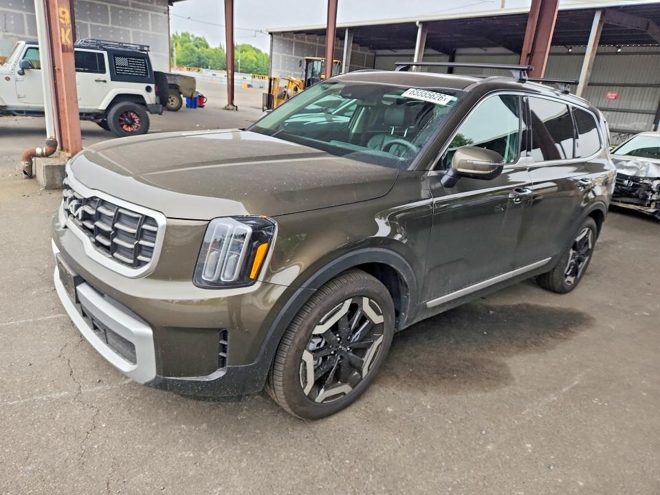 Aukcja sprzedaży 2025 Kia Telluride, vin: 5XYP6DGC6SG677054, numer aukcji: 65555626