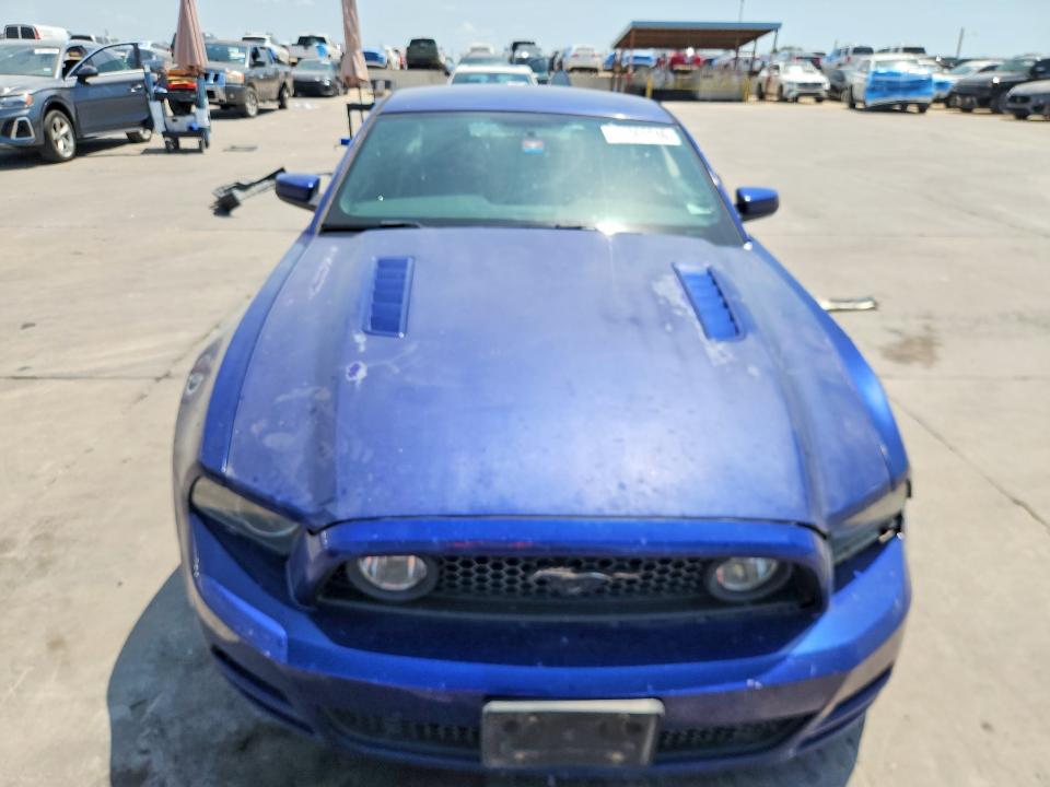 64065046 :رقم المزاد ، 1ZVBP8CF5E5291072 vin ، 2014 Ford Mustang مزاد بيع
