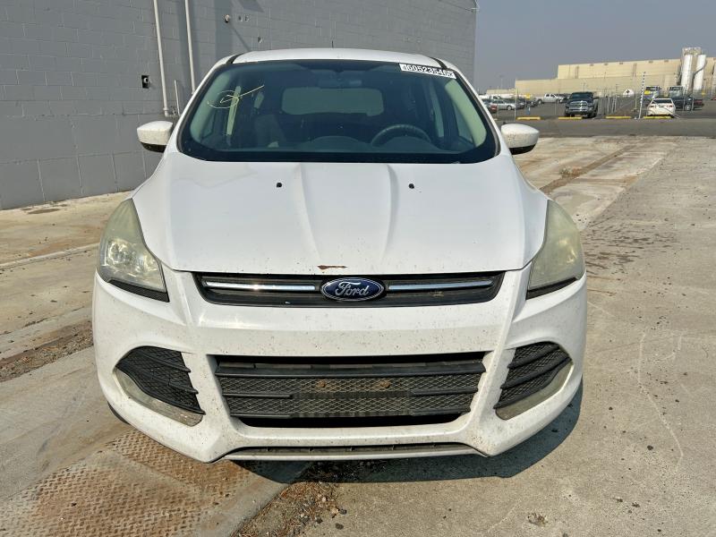 Aukcja sprzedaży 2014 Ford Escape, vin: 1FMCU9GXXEUB33370, numer aukcji: 60523546