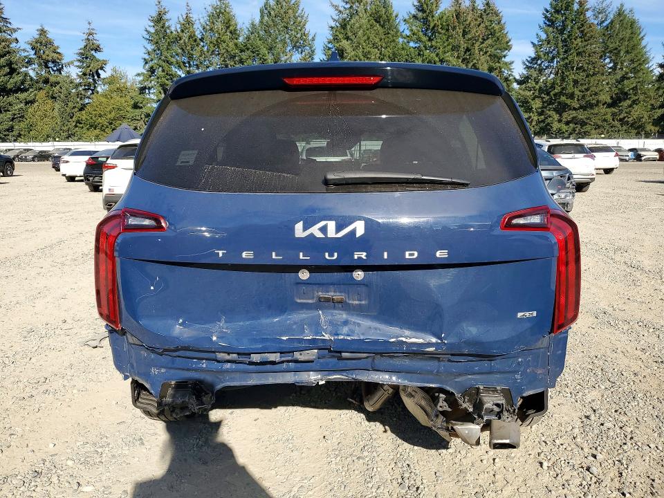 Продаж на аукціоні авто 2023 Kia Telluride, vin: 5XYP6DGC4PG404461, номер лоту: 66396776