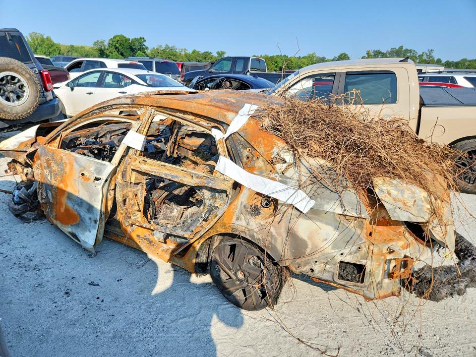 Продажа на аукционе авто 2024 Hyundai Elantra, vin: KMHLS4DG4RU687135, номер лота: 64576996