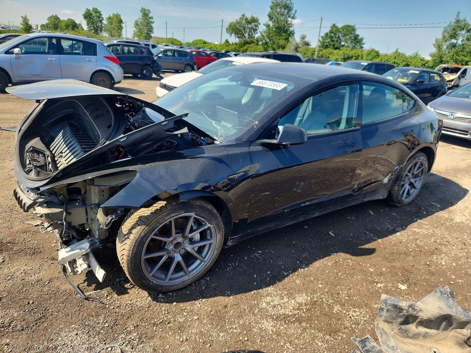 66573566 :رقم المزاد ، LRW3E1FA1PC944397 vin ، 2023 Tesla Model 3 مزاد بيع