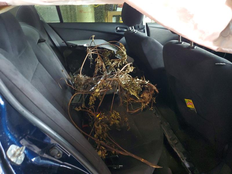 63477466 :رقم المزاد ، 1N4AL2AP6BN500503 vin ، 2011 Nissan Altima مزاد بيع