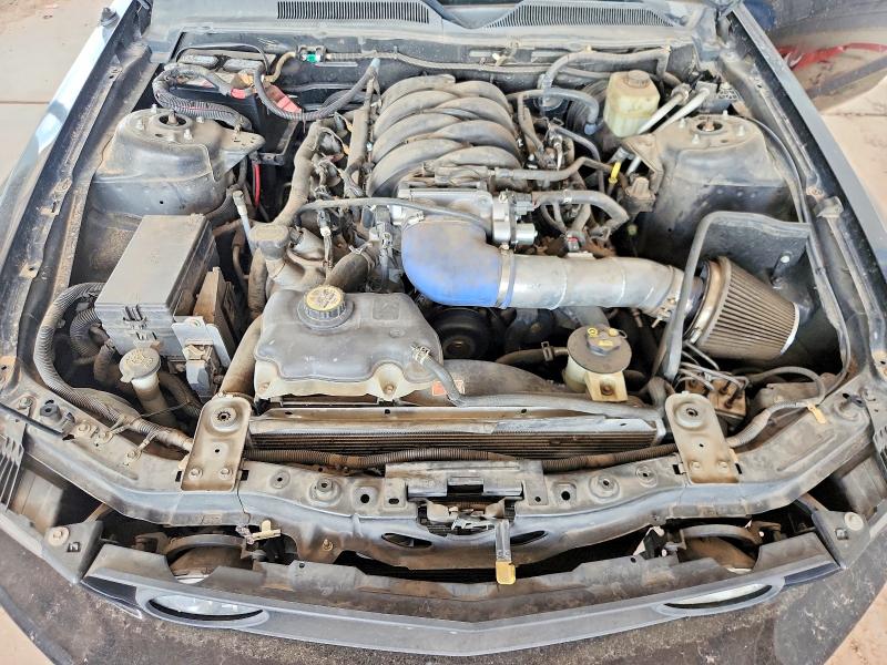 Продаж на аукціоні авто 2005 Ford Mustang, vin: 1ZVHT82H955168478, номер лоту: 63139626