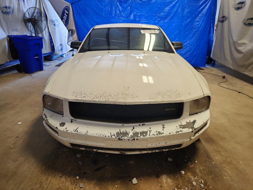 2005 Ford Mustang მანქანა იყიდება აუქციონზე, vin: 1ZVFT80N155152369, აუქციონის ნომერი: 66070736