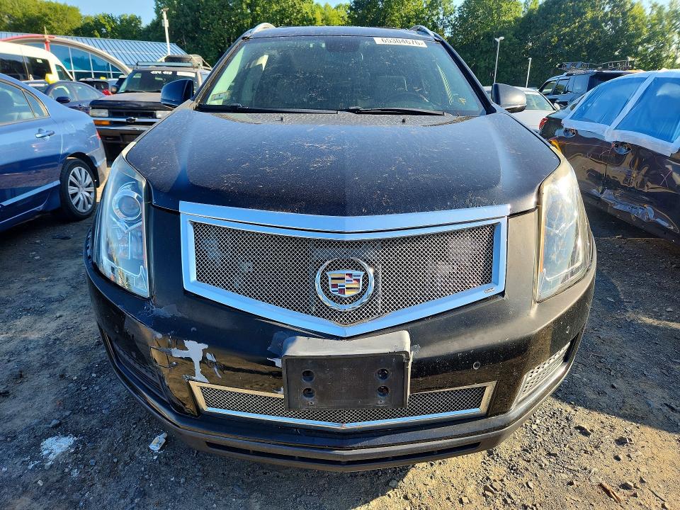 Auction sale of the 2011 Cadillac Srx, vin: 3GYFNDEY3BS612961, lot number: 65304676