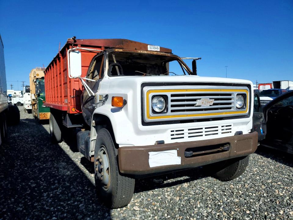 65749446 :رقم المزاد ، 1GBL7D1EXBV131327 vin ، 1981 Chevrolet C7 مزاد بيع