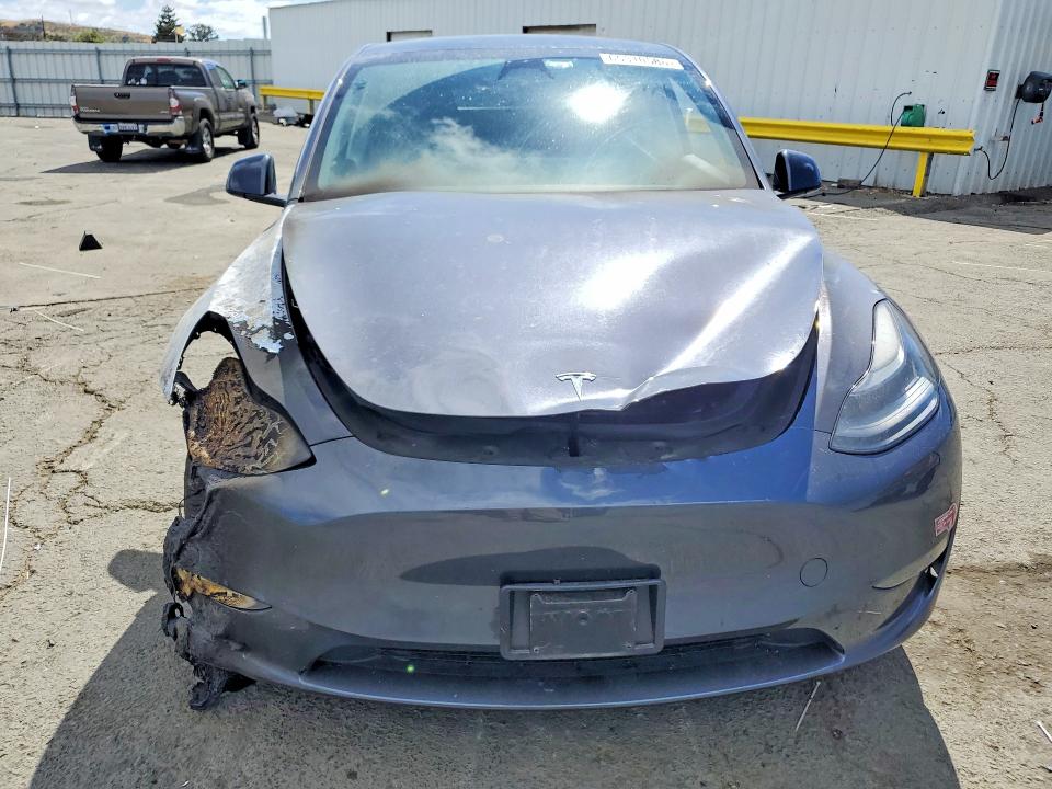 Продаж на аукціоні авто 2023 Tesla Model Y, vin: 7SAYGDEE9PF913283, номер лоту: 65310586