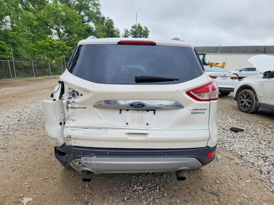 Auction sale of the 2016 Ford Escape, vin: 1FMCU9J91GUA07587, lot number: 64398426
