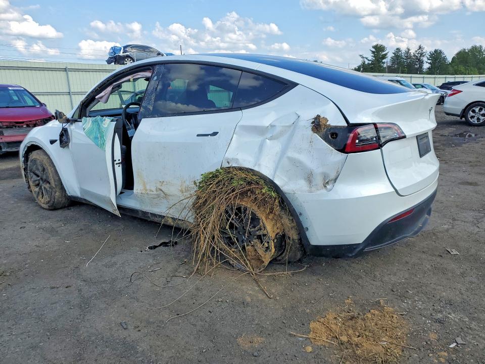Продажа на аукционе авто 2024 Tesla Model Y, vin: 7SAYGDEDXRF104739, номер лота: 66227506