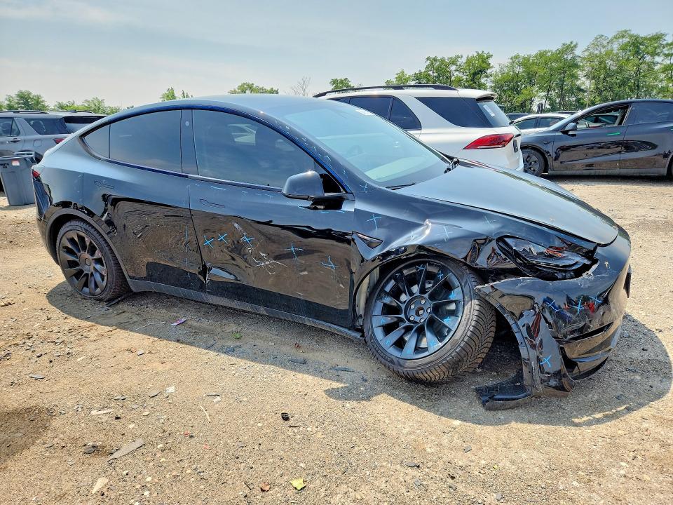 Продаж на аукціоні авто 2023 Tesla Model Y, vin: 7SAYGDEE4PF756892, номер лоту: 64065176