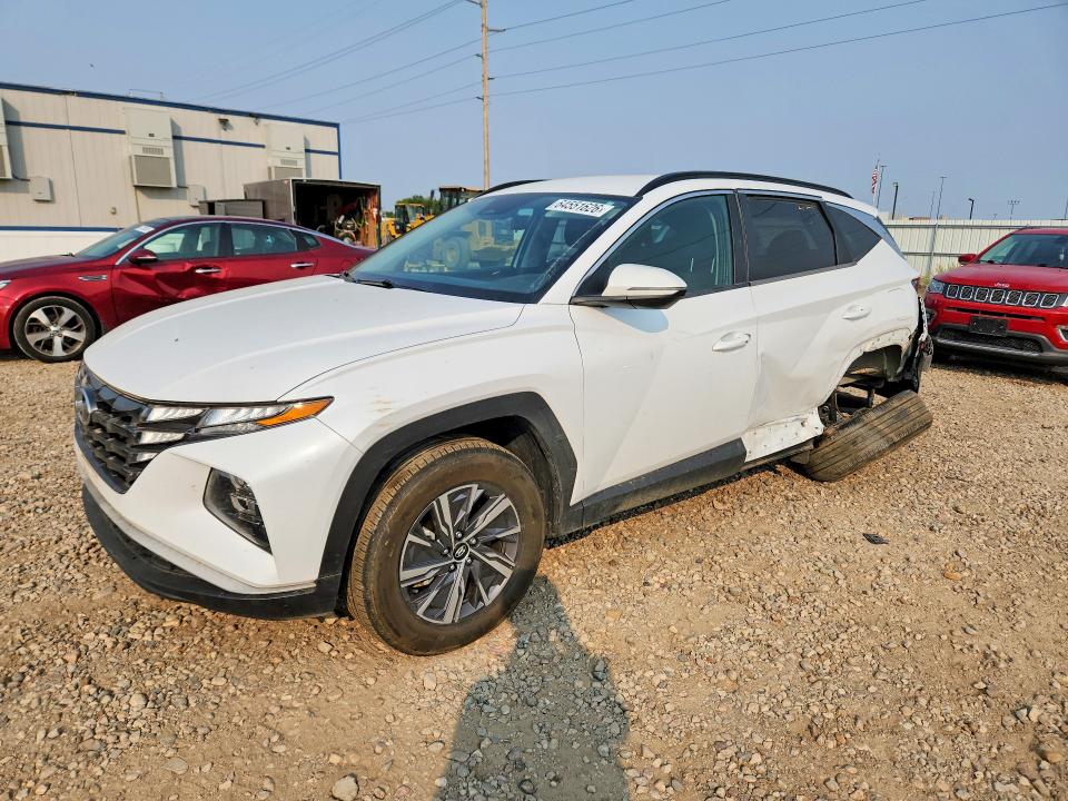 Auction sale of the 2022 Hyundai Tuson, vin: KM8JBCA14NU051228, lot number: 64551626