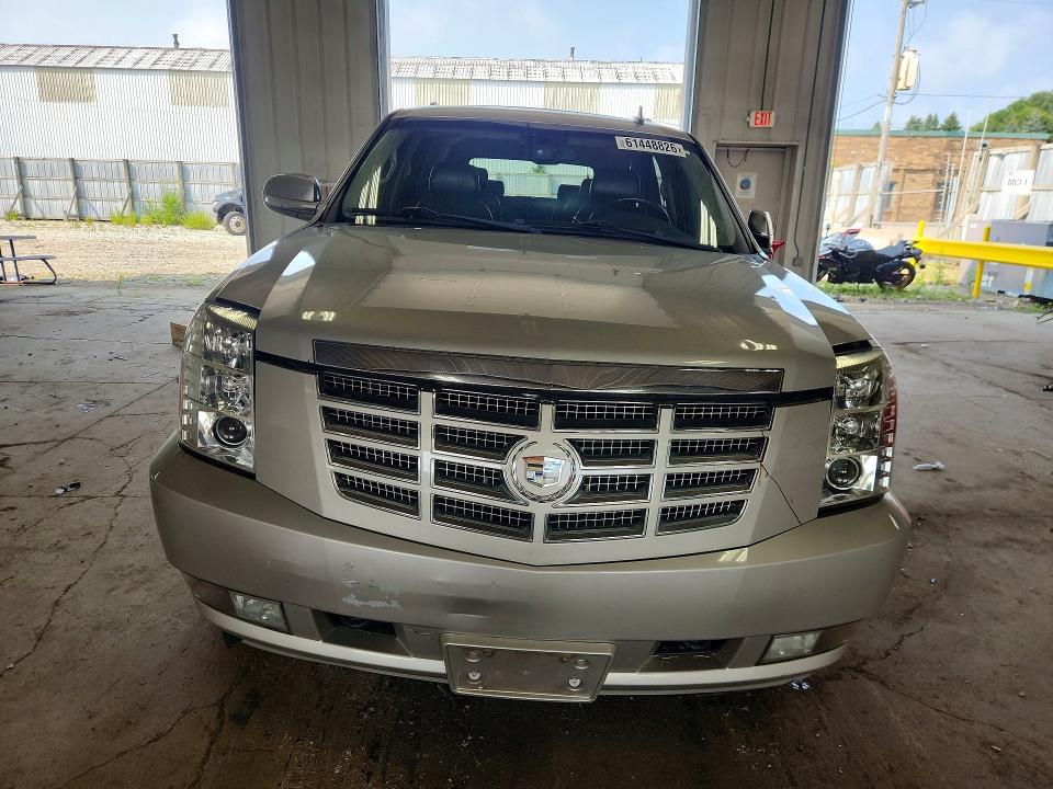 Продаж на аукціоні авто 2009 Cadillac Escalade, vin: 1GYFK23279R230666, номер лоту: 61448826