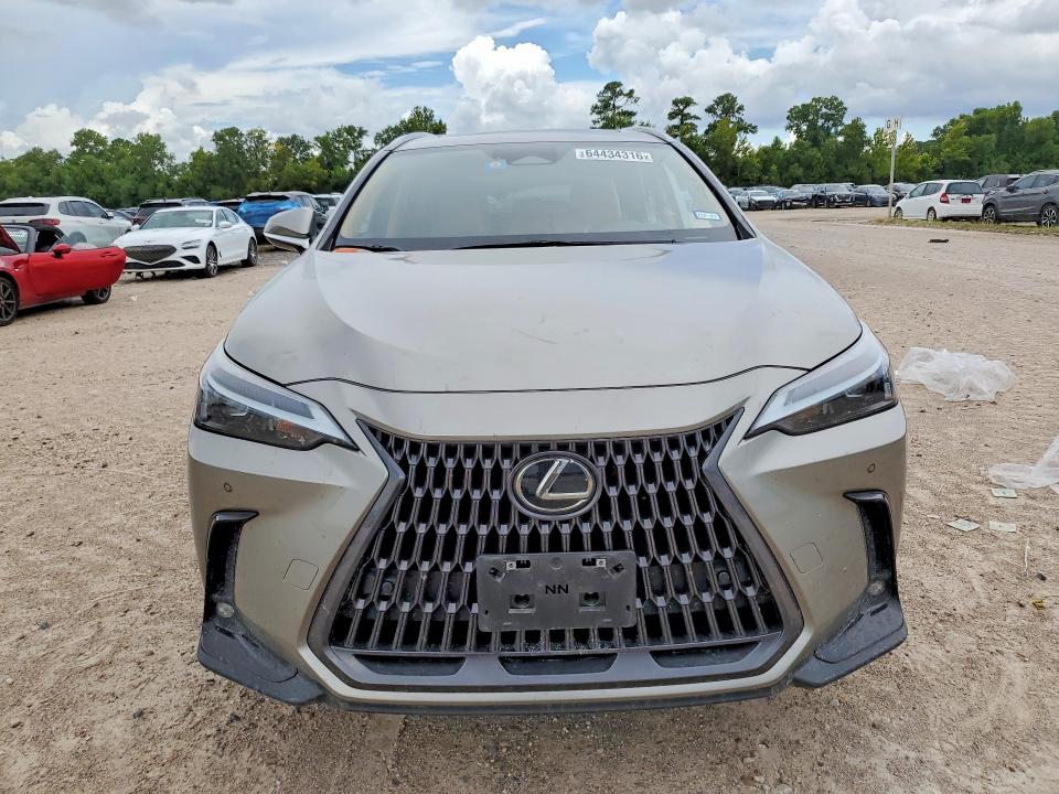 Продажа на аукционе авто 2023 Lexus Nx, vin: 2T2GGCEZ0PC023678, номер лота: 64434316