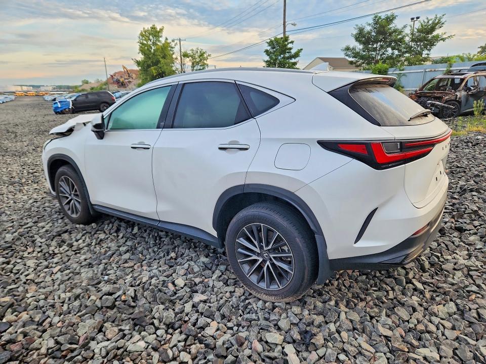 Продаж на аукціоні авто 2025 Lexus Nx 250, vin: 2T2ADCEZ9SC005509, номер лоту: 65487076