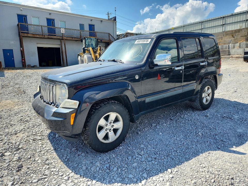 Продаж на аукціоні авто 2010 Jeep Liberty, vin: 1J4PN2GK7AW100981, номер лоту: 66015976