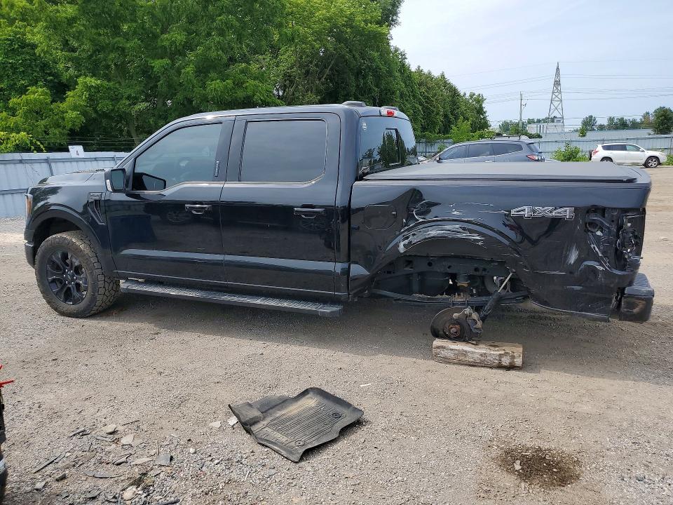 65167736 :رقم المزاد ، 1FTFW1E84PFD14142 vin ، 2023 Ford F150 مزاد بيع