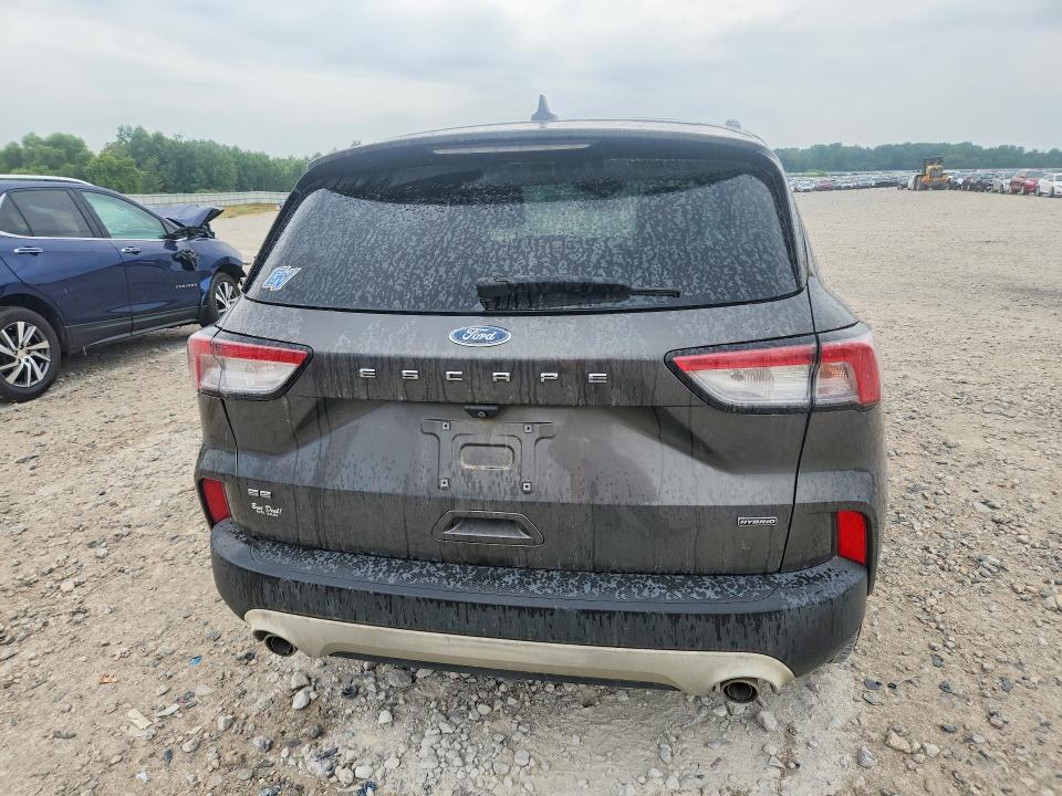 2020 Ford Escape მანქანა იყიდება აუქციონზე, vin: 1FMCU0BZ0LUB80523, აუქციონის ნომერი: 63376756
