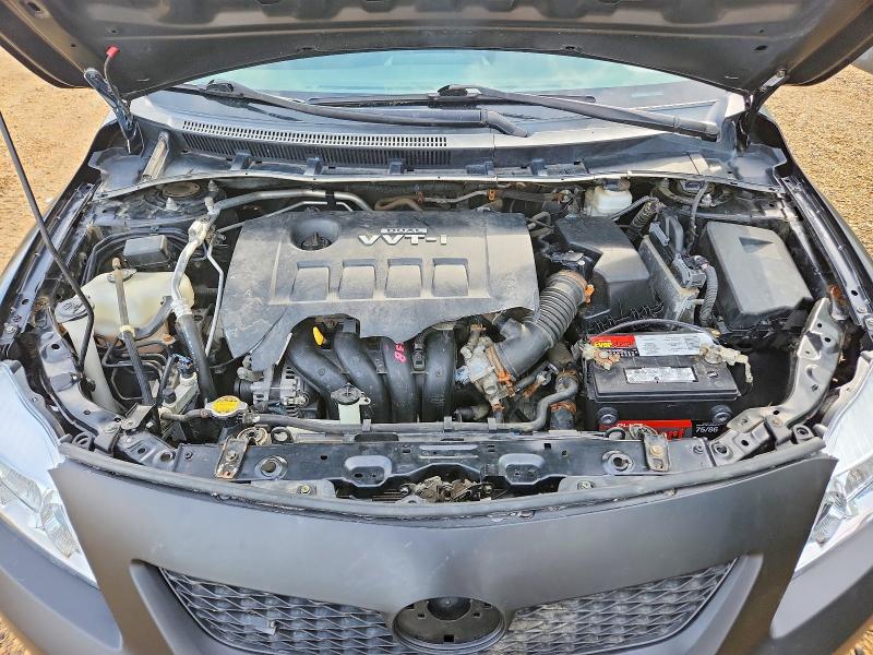 65506886 :رقم المزاد ، 2T1BU4EE2AC255202 vin ، 2010 Toyota Corolla مزاد بيع
