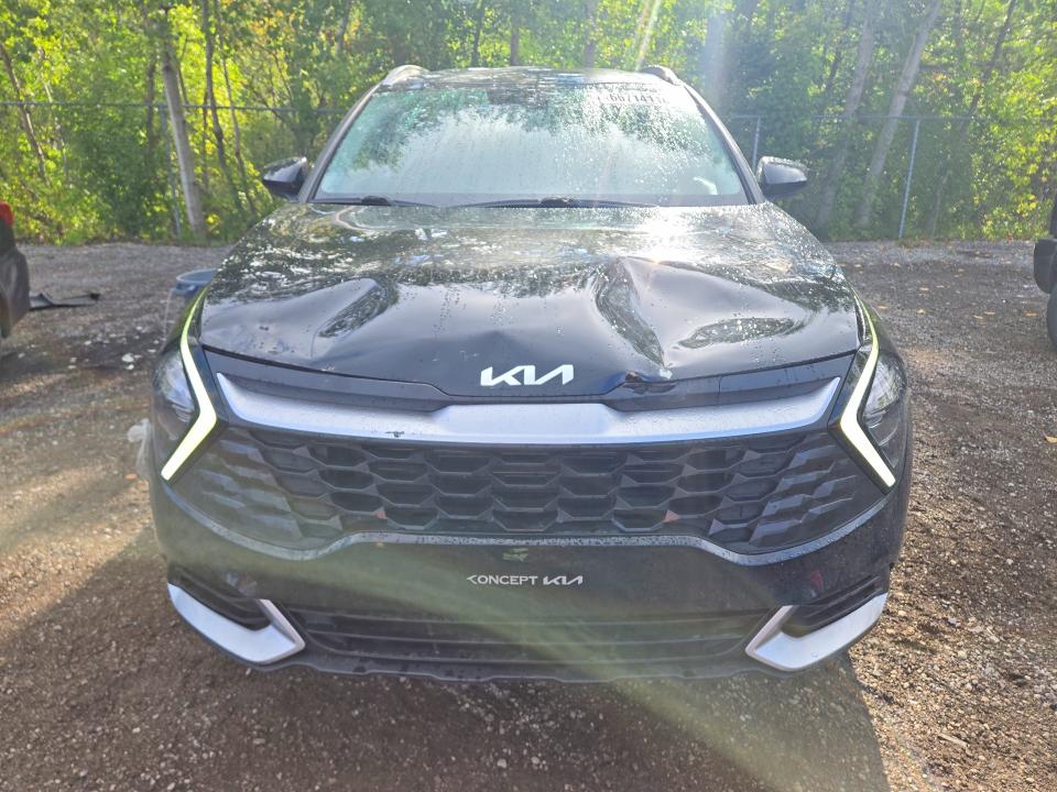 Продаж на аукціоні авто 2023 Kia Sportage, vin: KNDPU3AFXP7078715, номер лоту: 66714116