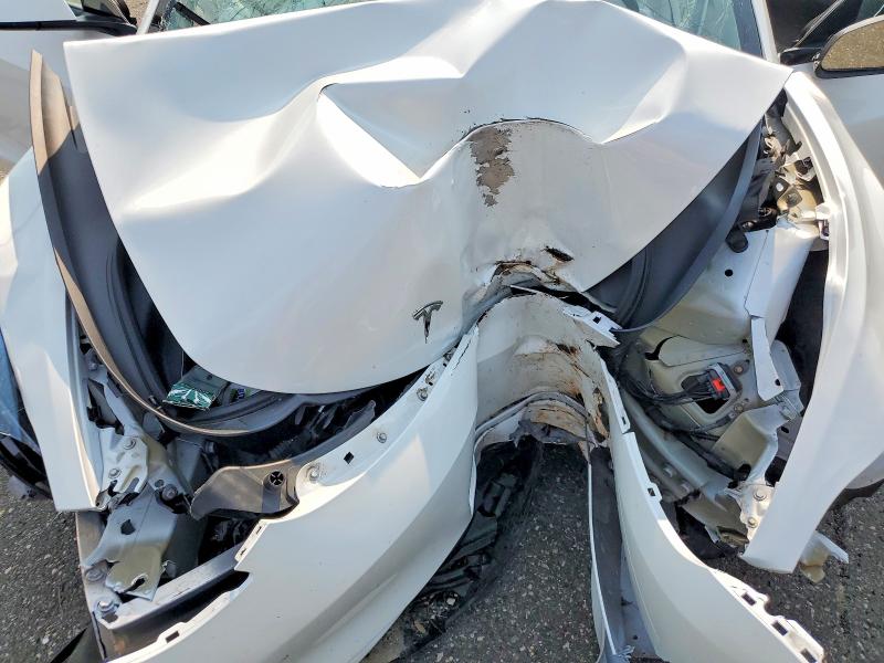 2023 Tesla Model 3 მანქანა იყიდება აუქციონზე, vin: 5YJ3E1EA4PF553977, აუქციონის ნომერი: 65141406