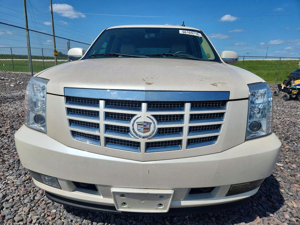 Aukcja sprzedaży 2010 Cadillac Escalade, vin: 1GYUKBEF7AR212177, numer aukcji: 66169716