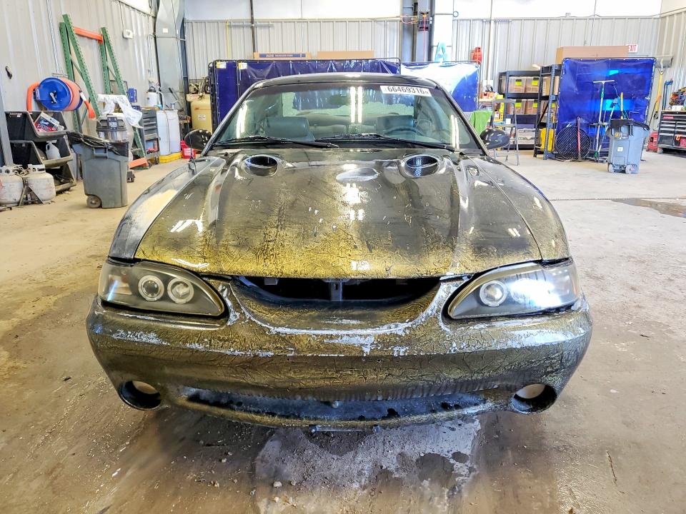 Продаж на аукціоні авто 1997 Ford Mustang, vin: 1FALP47V5VF178451, номер лоту: 66469316