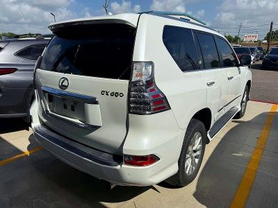 Продаж на аукціоні авто 2014 Lexus Gx, vin: JTJBM7FX3E5080105, номер лоту: 66410446
