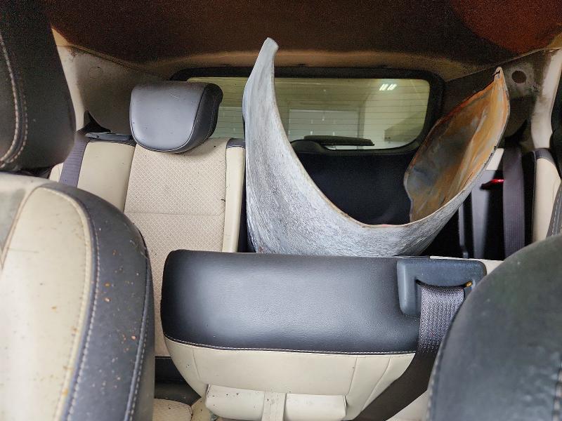 Продажа на аукционе авто 2018 Buick Encore, vin: KL4CJASB7JB522963, номер лота: 67085646