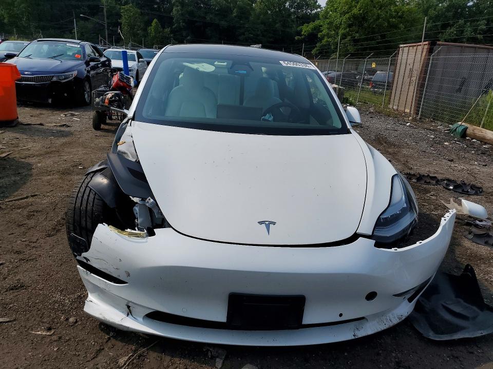 64500336 :رقم المزاد ، 5YJ3E1EA4KF486614 vin ، 2019 Tesla Model 3 مزاد بيع