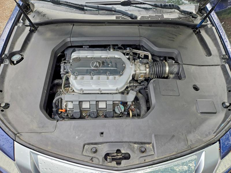 Продаж на аукціоні авто 2009 Acura Tl, vin: 19UUA96539A800855, номер лоту: 64964976