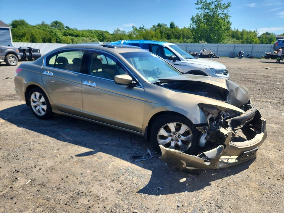Продаж на аукціоні авто 2010 Honda Accord, vin: 5KBCP3F81AB005509, номер лоту: 63128366