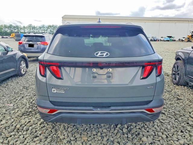 Продаж на аукціоні авто 2024 Hyundai Tucson, vin: 5NMJBCDEXRH296048, номер лоту: 64479596