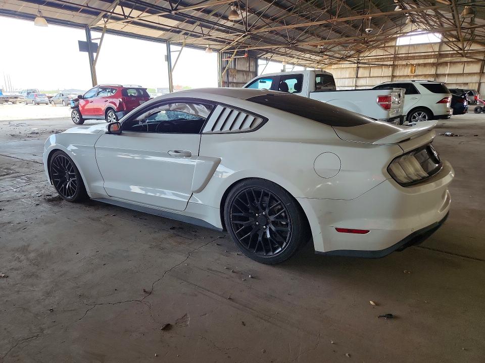 Продаж на аукціоні авто 2019 Ford Mustang, vin: 1FA6P8CF9K5120525, номер лоту: 67203576