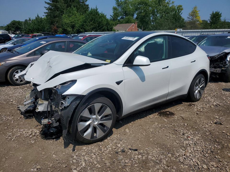 Aukcja sprzedaży 2023 Tesla Model Y, vin: 7SAYGDEE1PF684954, numer aukcji: 64461116