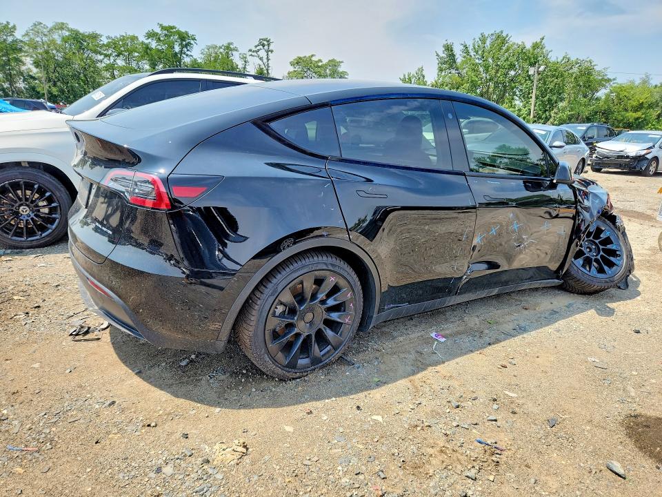 Продаж на аукціоні авто 2023 Tesla Model Y, vin: 7SAYGDEE4PF756892, номер лоту: 64065176