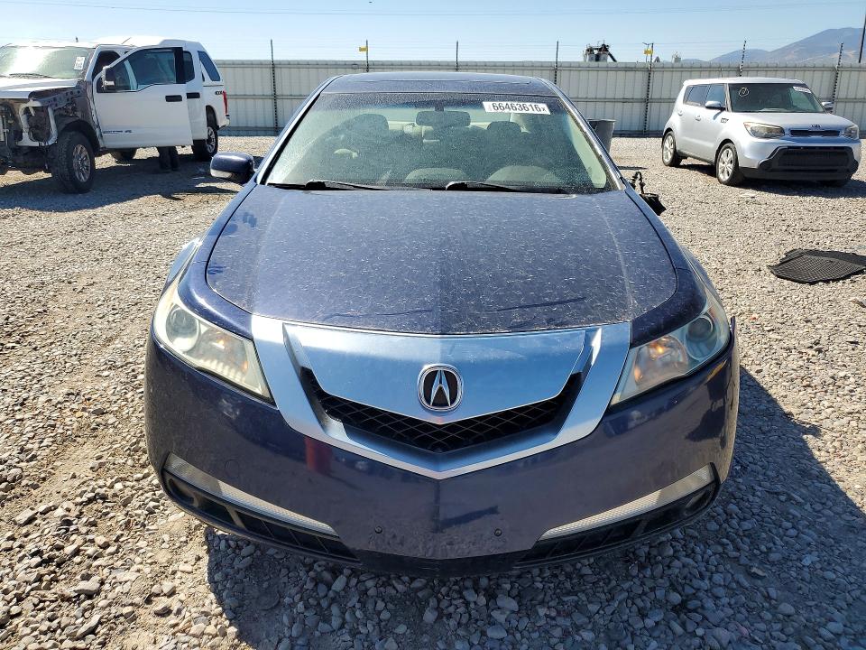 66463616 :رقم المزاد ، 19UUA86549A000320 vin ، 2009 Acura Tl مزاد بيع