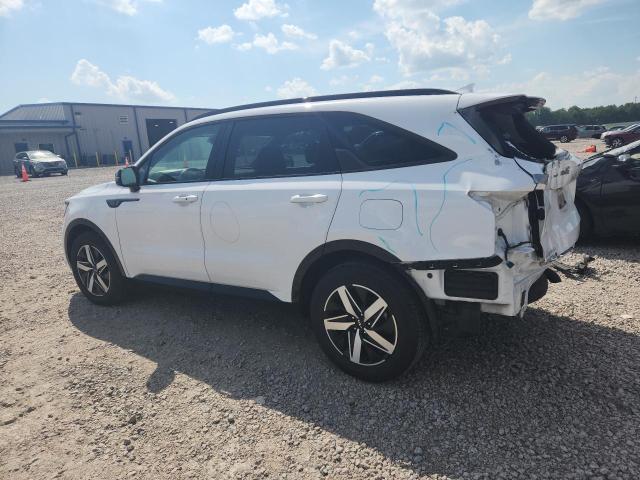 Auction sale of the 2023 Kia Sorento, vin: 5XYRH4LF1PG187549, lot number: 65997866