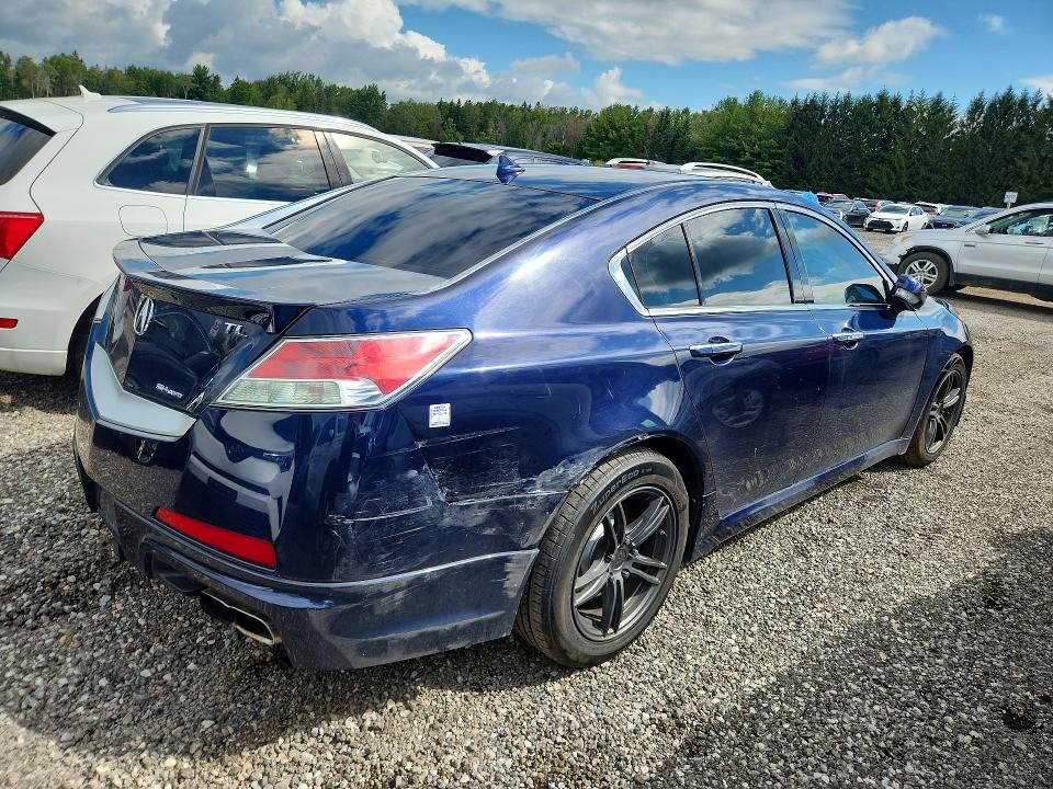 Продаж на аукціоні авто 2009 Acura Tl, vin: 19UUA96539A800855, номер лоту: 64964976