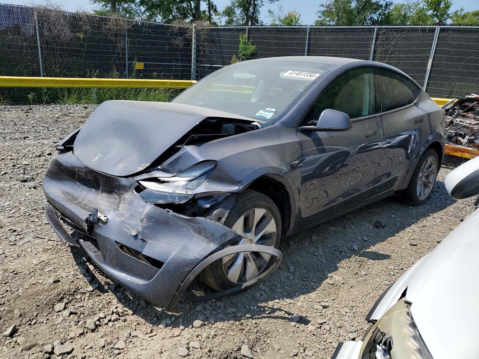 Aukcja sprzedaży 2023 Tesla Model Y, vin: 7SAYGDEE7PA195066, numer aukcji: 61451356