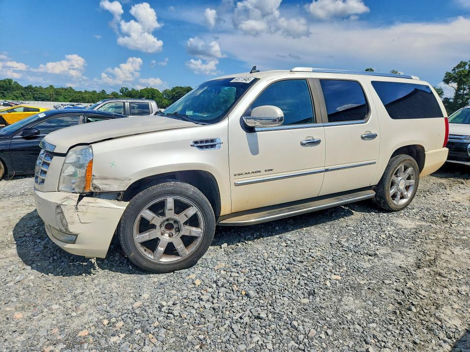 Auction sale of the 2010 Cadillac Escalade, vin: 1GYUCHEF0AR200842, lot number: 64611946