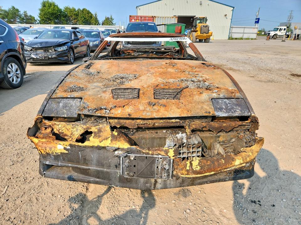 Продажа на аукционе авто 1984 Pontiac Firebird, vin: 1G2AW87H2EN237147, номер лота: 61021856