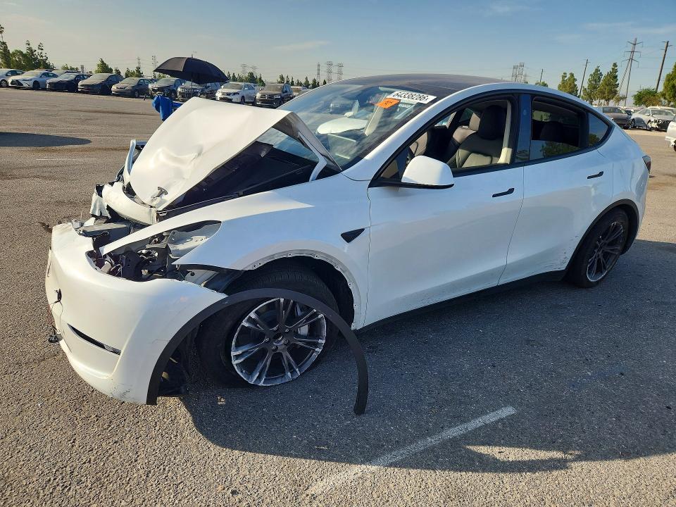 Aukcja sprzedaży 2025 Tesla Model Y, vin: 7SAYGDED9SF311547, numer aukcji: 64338286