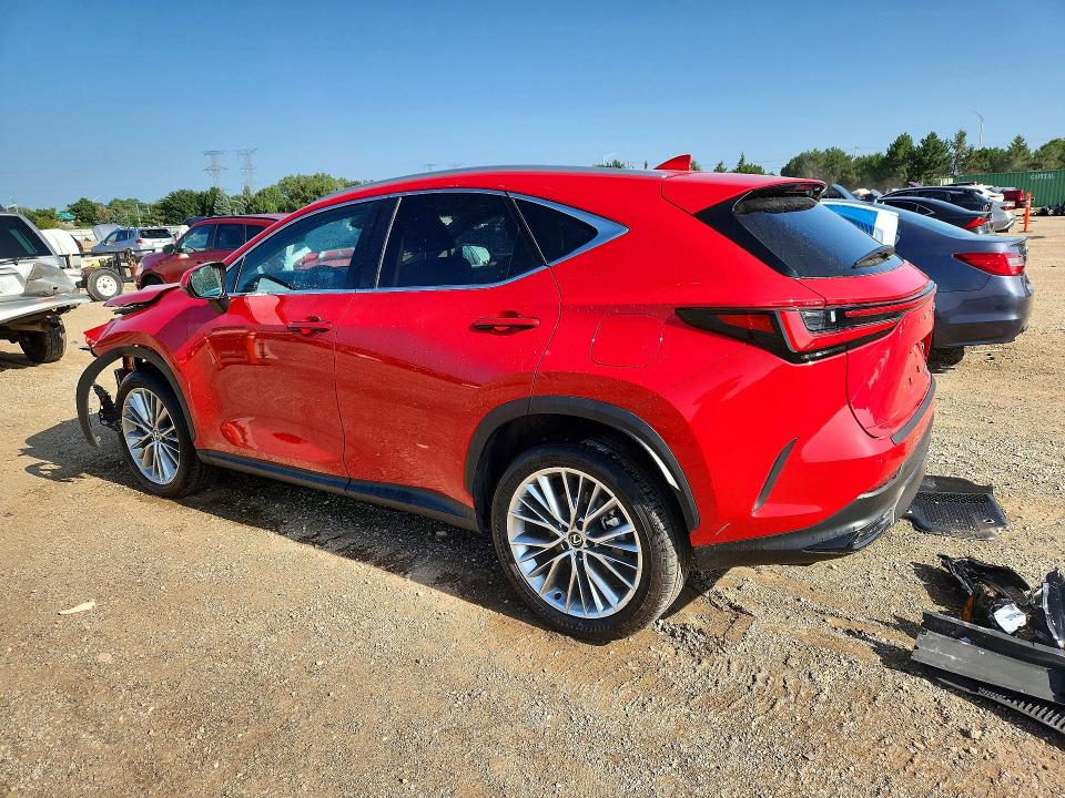 65359746 :رقم المزاد ، 2T2GKCEZ8SC049999 vin ، 2025 Lexus Nx 350h مزاد بيع