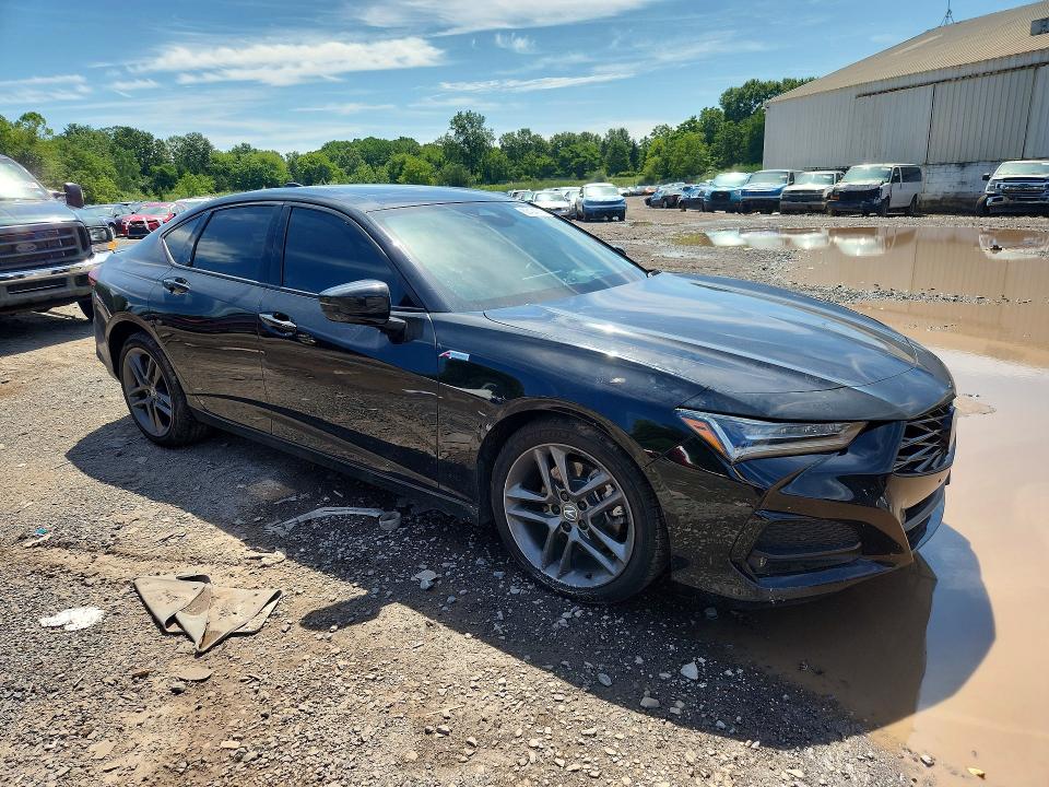 Продажа на аукционе авто 2025 Acura Tlx, vin: 19UUB6F56SA004506, номер лота: 63404716