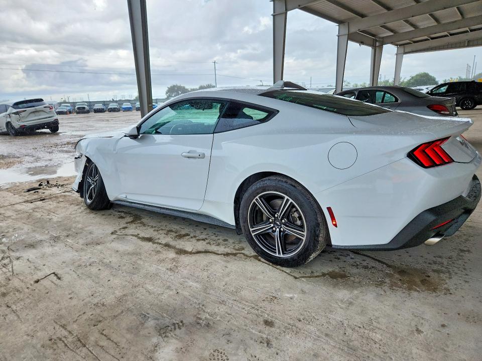 Продаж на аукціоні авто 2025 Ford Mustang, vin: 1FA6P8TH3S5101342, номер лоту: 63202216