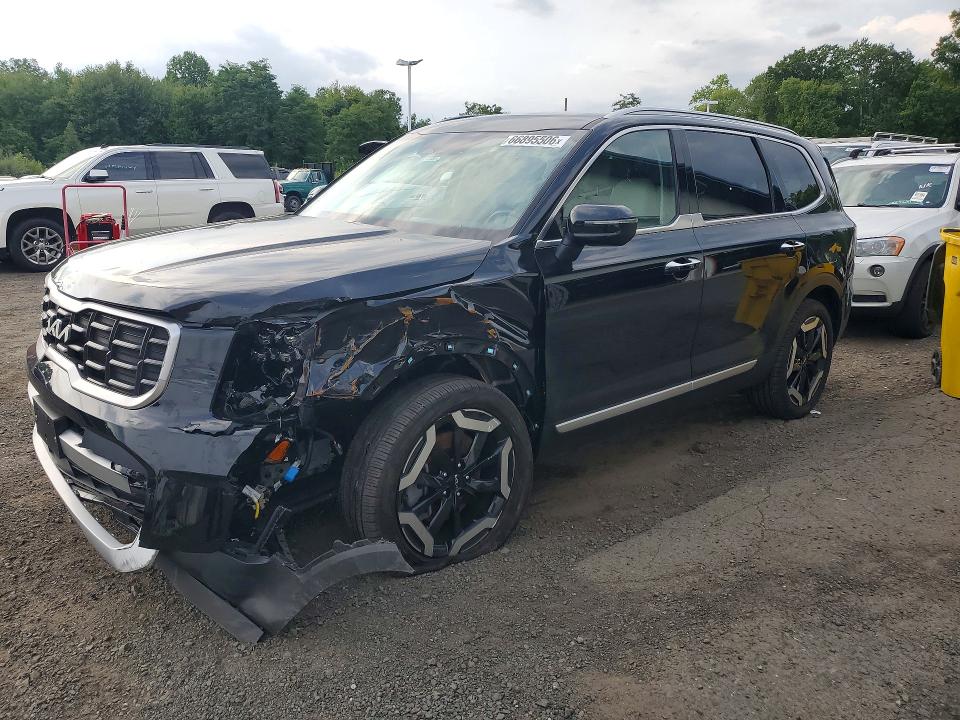 Продаж на аукціоні авто 2025 Kia Telluride, vin: 5XYP6DGC7SG653295, номер лоту: 66895506