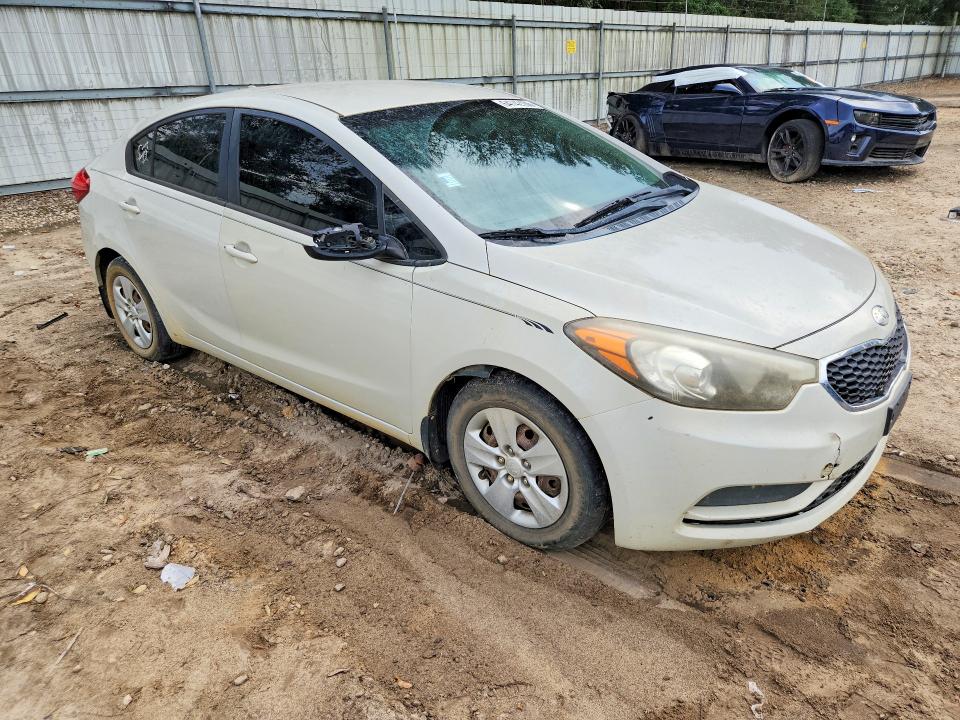 Продаж на аукціоні авто 2014 Kia Forte, vin: KNAFK4A69E5086981, номер лоту: 64742106