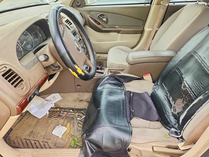 67009436 :رقم المزاد ، 1G1ZT61846F141013 vin ، 2006 Chevrolet Malibu مزاد بيع